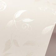 Papier ozdobny A4 GALERIA PAPIERU Liana kremowy 220g 2szt