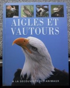 AIGLES ET VAUTOURS A LA DECOUVERTE DES ANIMAUX ZOBACZ 