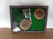 Obraz z mchem i plastrami drewna