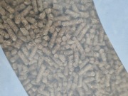 Eco żwirek ,pellet dla gryzoni, królika, kota 