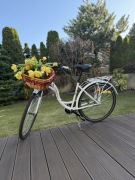 Rower Miejski Folta Sedona Swan