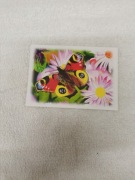 Pocztówka kolekcjonerska nr 162