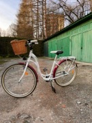 miejski rower Monteria