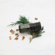 Olejek eteryczny DOUGLAS FIR daglezja doTERRA 5ml