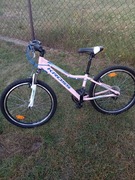 Rower Kross 24" damski 