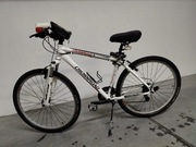 Rower crossroad crossowy 