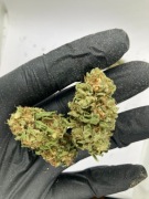 Jasny Lekki Świeży Susz CBD White Whidow 1kg | CBD PREMIUM (zdjęcia) 1000g