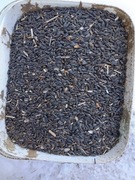 Słonecznik czarny ziarno dla ptaków gołębi pasza 15kg 