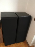 Tonsil Zeus, 1 właściciel 