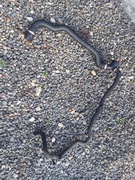 Przewód wody  bmw 2  f45 f46  b47