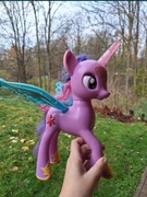 Twilight sparkle księżniczka my little pony