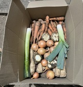 Box Rodzinny z Warzywami