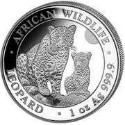 African Wildlife Leopard 1 uncja Srebra 2024