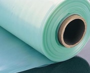 Folia tunelowa Zielona 8x12 