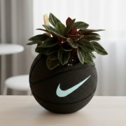 Doniczka Nike Ball Koszykówka piłka nożna 