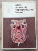 Atlas anatomii topograficznej krowy