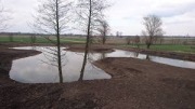 Kopanie stawu- czyszczenie,melioracja.