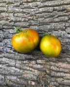 MYSTERE BERTHIER - BERTHIER MYSTERY