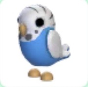 Adopt me- Parakeet - Rare