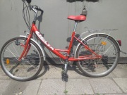 Rower Delta Trend City 24