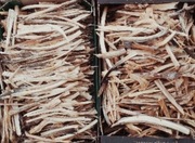 Rozpałka żywiczna łuczyna