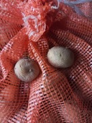 Ziemniaki ekologiczne jak sadzeniaki bellarosa 20 kg