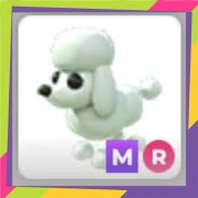 Mega Neon Ride Poodle MR | Adopt Me | Roblox