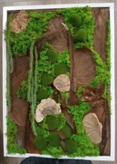 Obrazy z mchu chrobotek (73 cm x 53 cm)