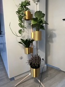 Kwietnik z ROŚlinkami stojak drewniany z ruchomymi pion poziom doniczkami