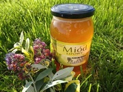 MIÓD LIPOWY z własnej pasieki 