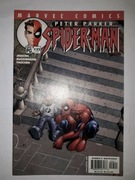 PETER PARKER SPIDER-MAN Vol.2 #35, 2001