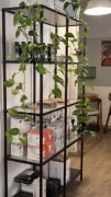Regał Ikea VITTSJÖ