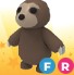 FR sloth "Adopt me" roblox