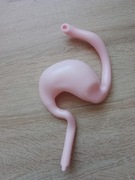 Żołądek kostek szkielet ciało człowieka National Geographic