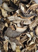 Koźlarz Suszone Grzyby 1 kg kozaki + ATEST!!!