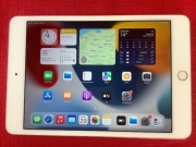 Ipad mini 4 A1538 Wi-Fi 2GB/64GB