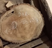 Plaster Drewna DĄB 73/60/8 cm Blat Stolik Żywica DIY Wysuszony