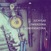 UCHYLAK - Zwierzenia kondensatora CDr