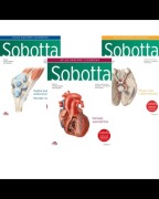 Atlas Anatomii Sobotta Komplet Tom 1-3 Łacińskie Mianownictwo