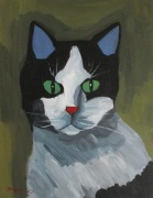 Kot, 34x27, kot, koty