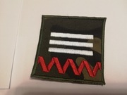 Stopień strzelecki drużynowy ZS BEZ RZEPA wz.93