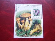 Afganistan 2001 MNH Flora Grzyby