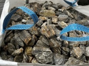 Kora Kamienna do gabionów Gabion Ogrodzenie Kamień Marianna Jaworzno