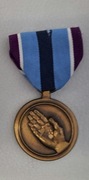 Medal USA Army, Poszukiwany