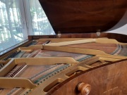 70 - letni Petrof model V (69971), po renowacji!