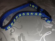 Obroża dla psa kota świecąca w ciemności 28cm 