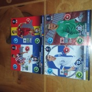 road to euro 2016 panini one to watch,goal stopper,fans favourite