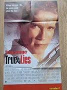 Plakat Arnold Schwarzenegger 