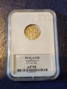 Polska, półtorak 1622 AU58 Zygmunt III Waza srebro 