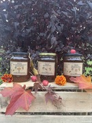 Zestaw miodów spadziowych z Pasieki Doliny Noteci